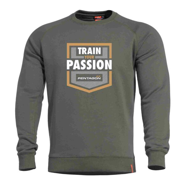 Pentagon Hawk Sweater TP