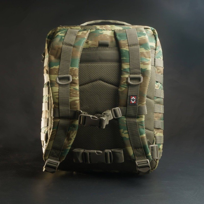 ASSAULT LARGE D16002-CAMO